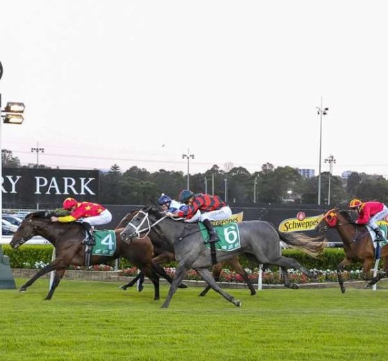 April Rain (6) just beaten on debut.